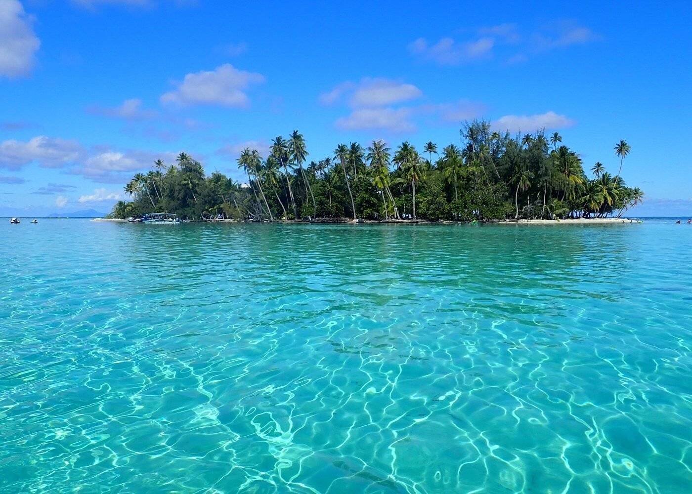 Motu lagon
